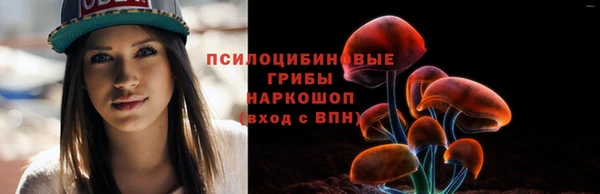 спиды Богородск