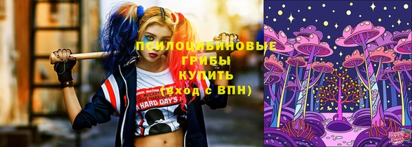 спиды Богородск