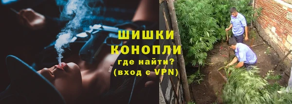 спиды Богородск